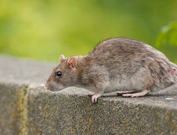 collection aboutstore-photo