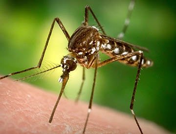 collection aboutstore-photo