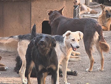 collection aboutstore-photo